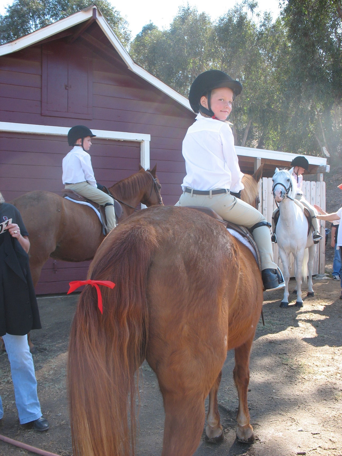 Mary's Botanicals All natural horse care store