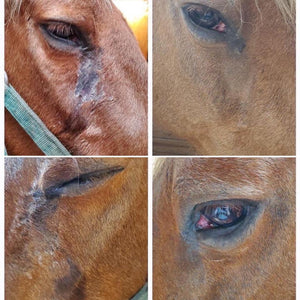Eye, Nose & Ear Wipe