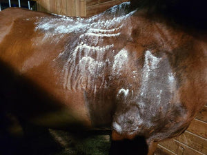 Dry-Powder-Bath