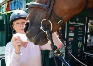 Equine Sunblock  2.5 oz