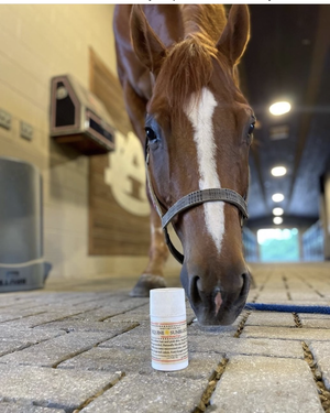 Equine Sunblock  2.5 oz
